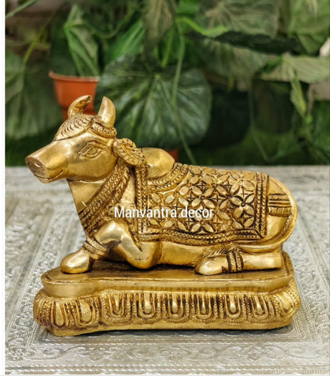 Nandi