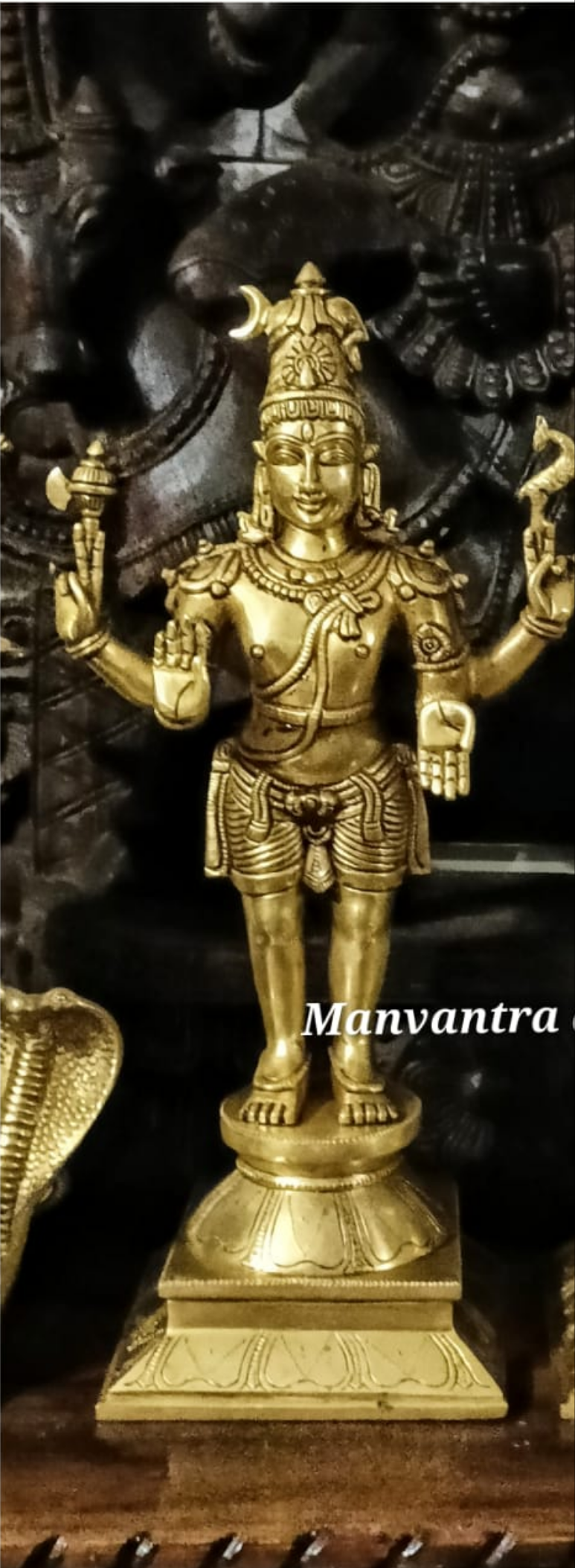 Shiva idol