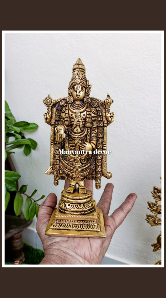 Balaji idol