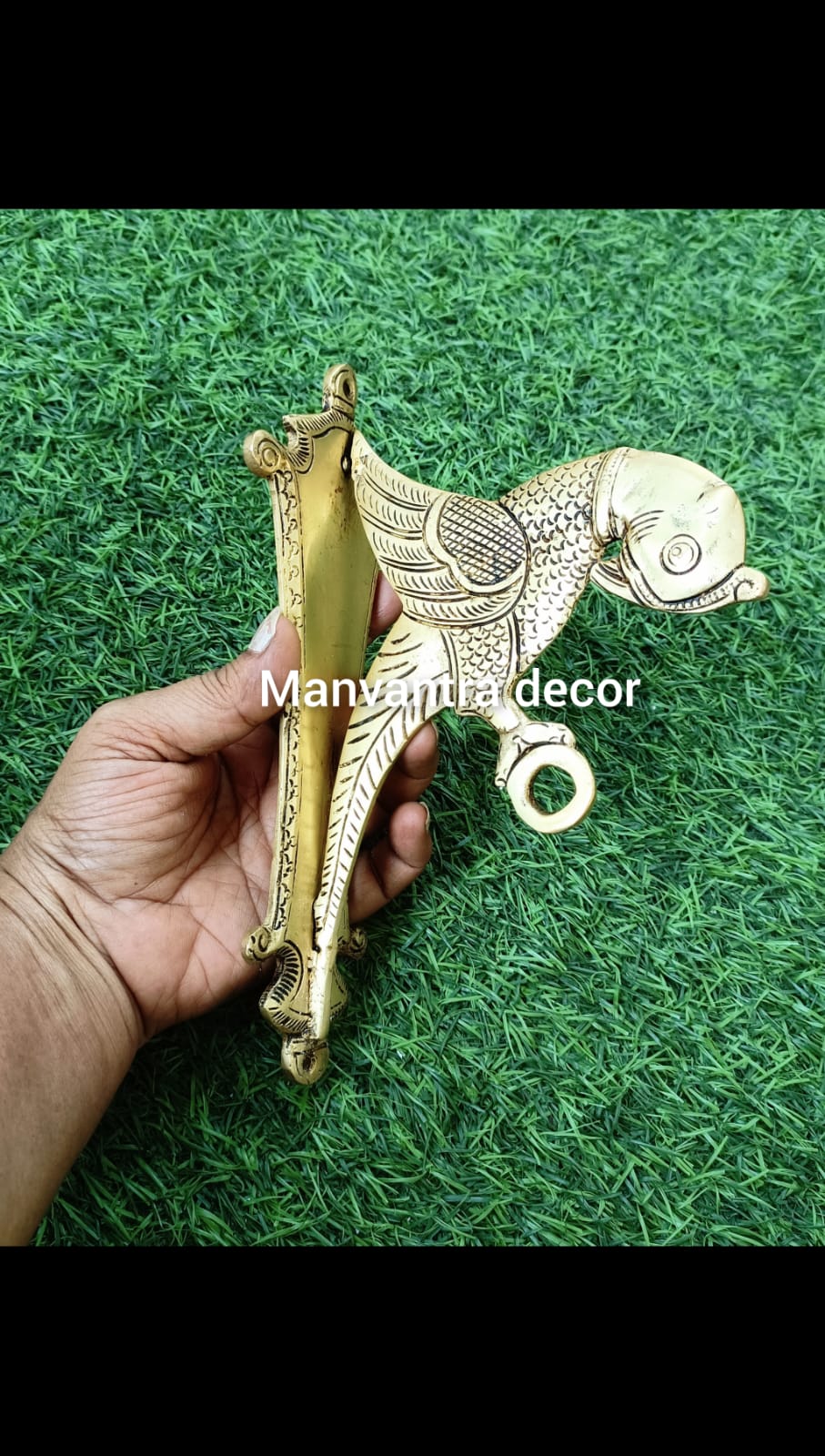 Parrot bracket