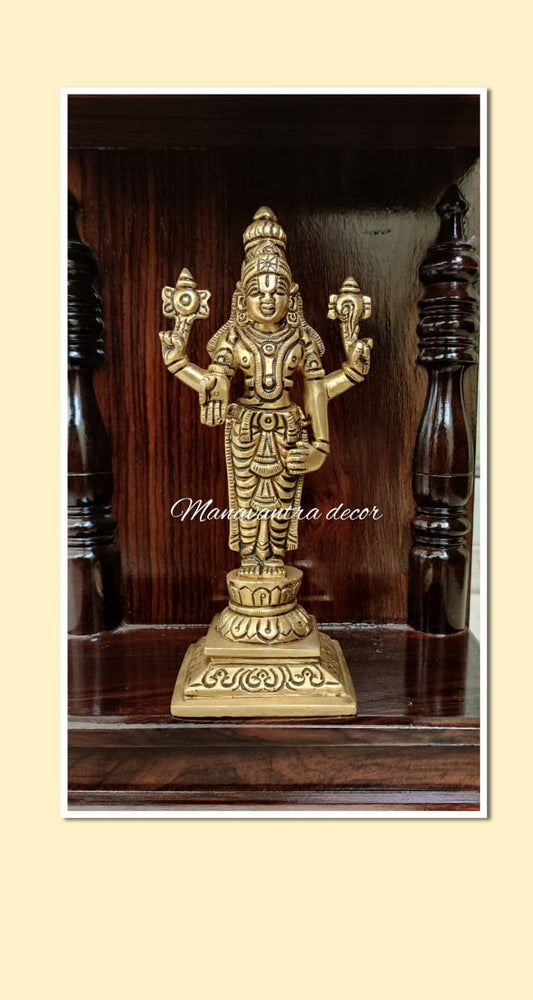 Balaji idol