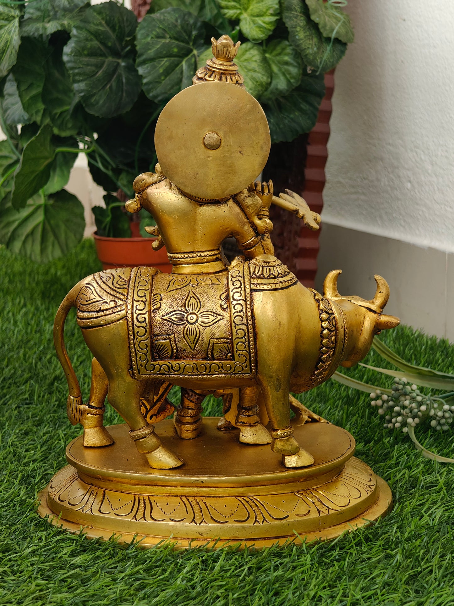 Cow krishna