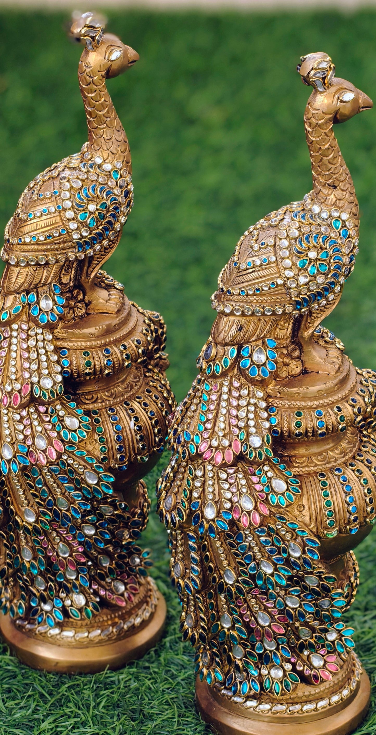 Peacock set