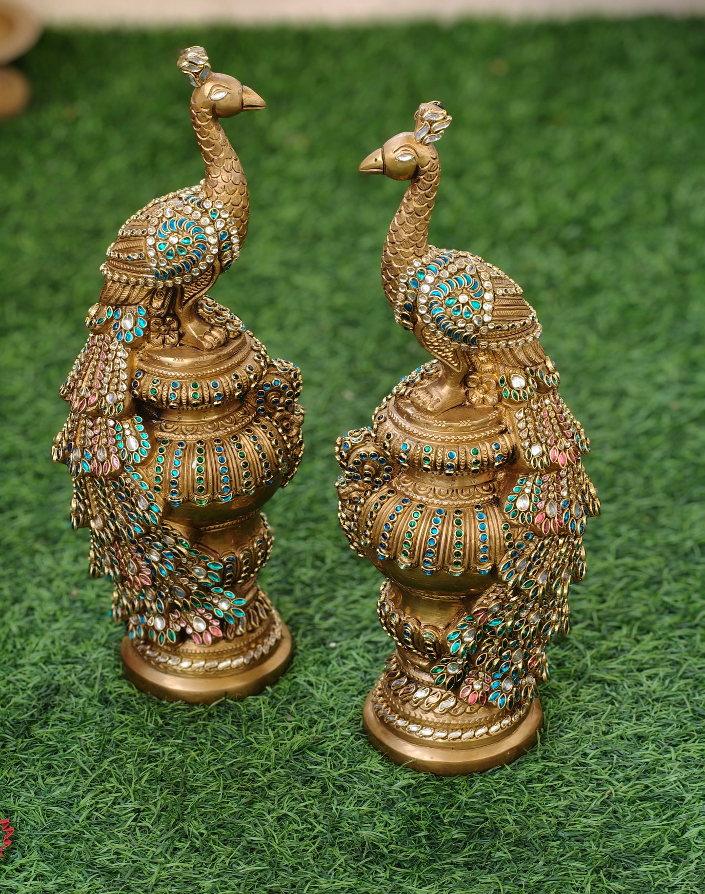 Peacock set