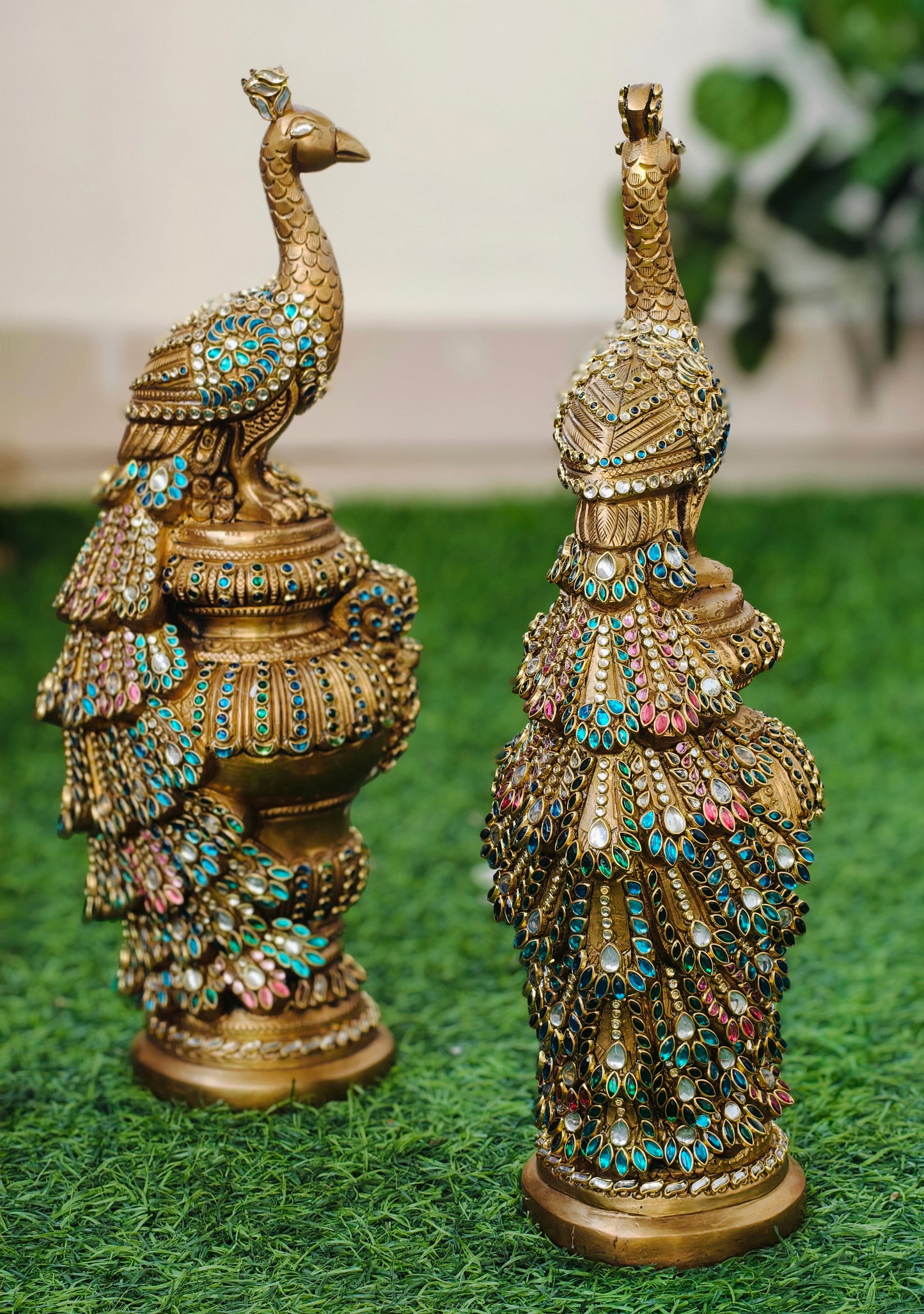 Peacock set