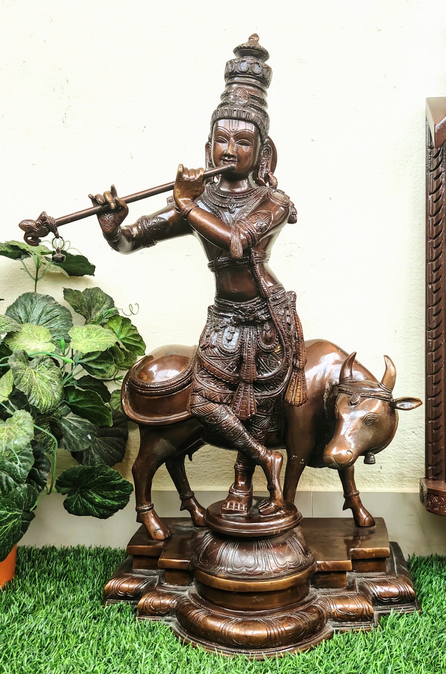 Cow krishna