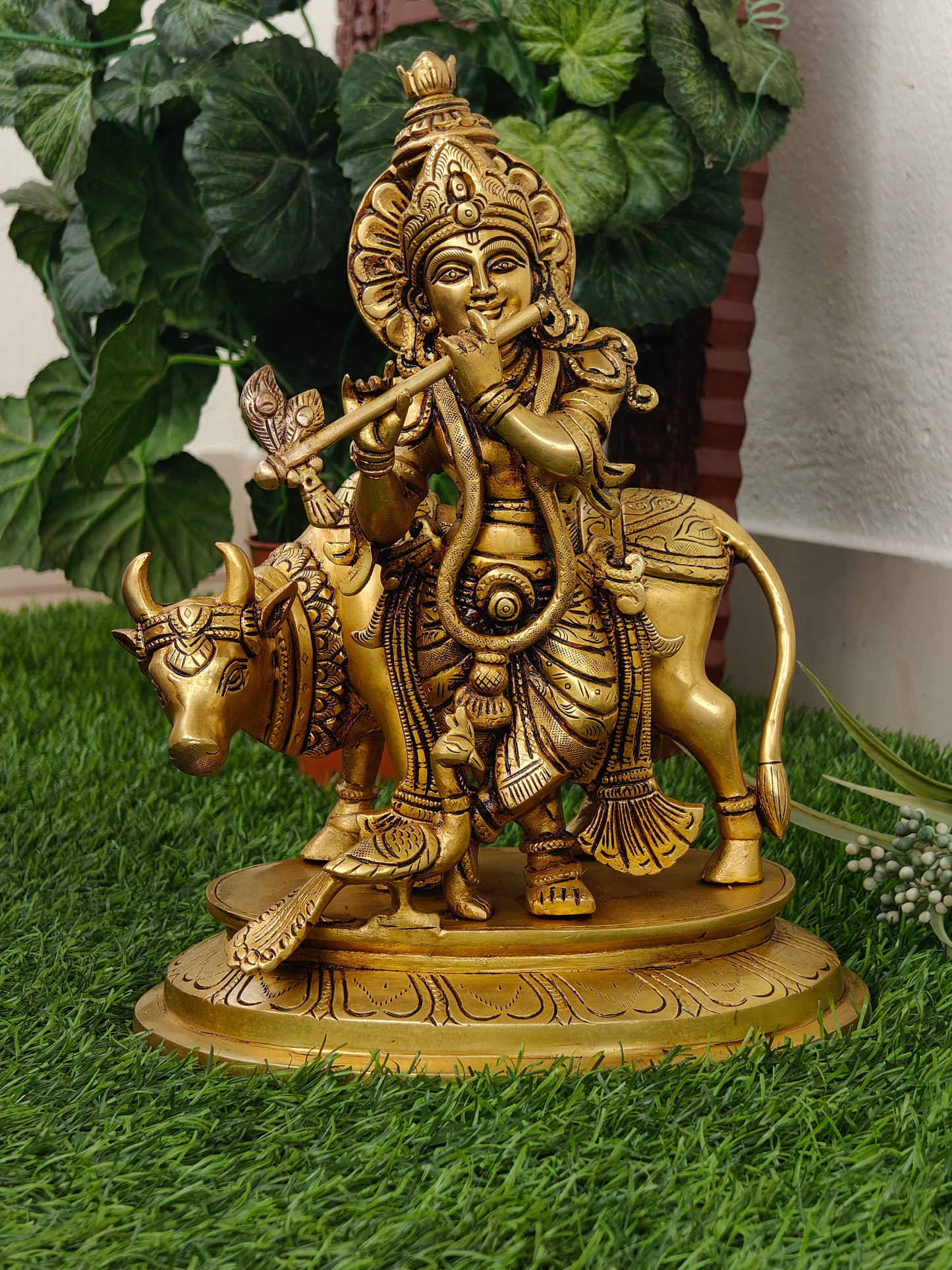 Cow krishna