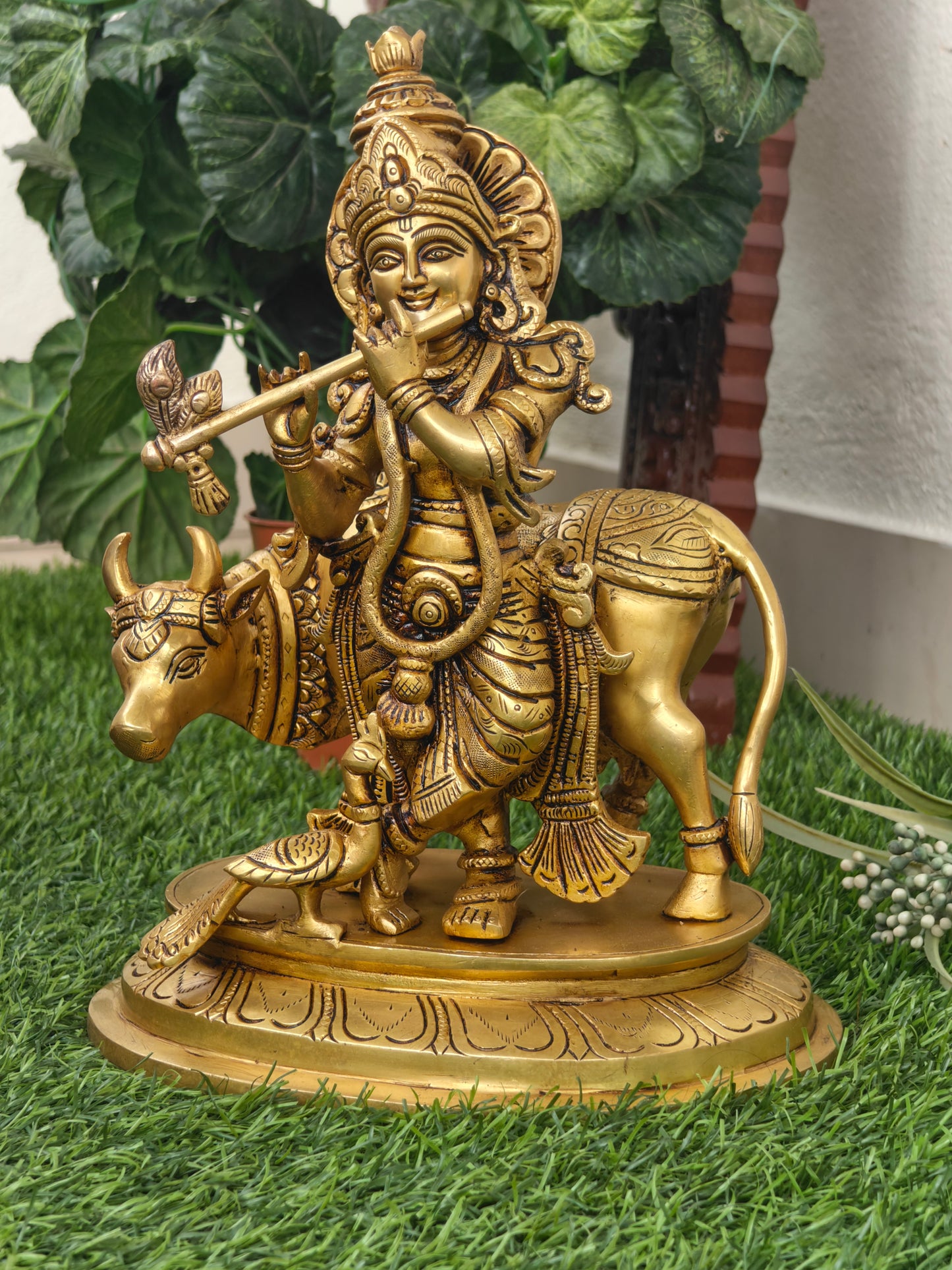 Cow krishna