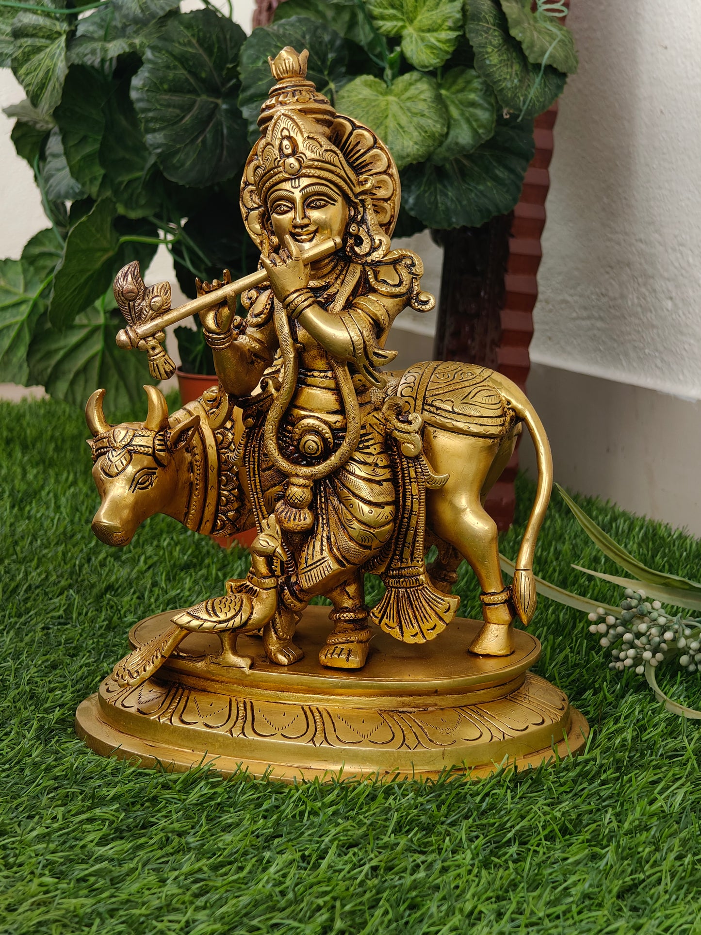 Cow krishna