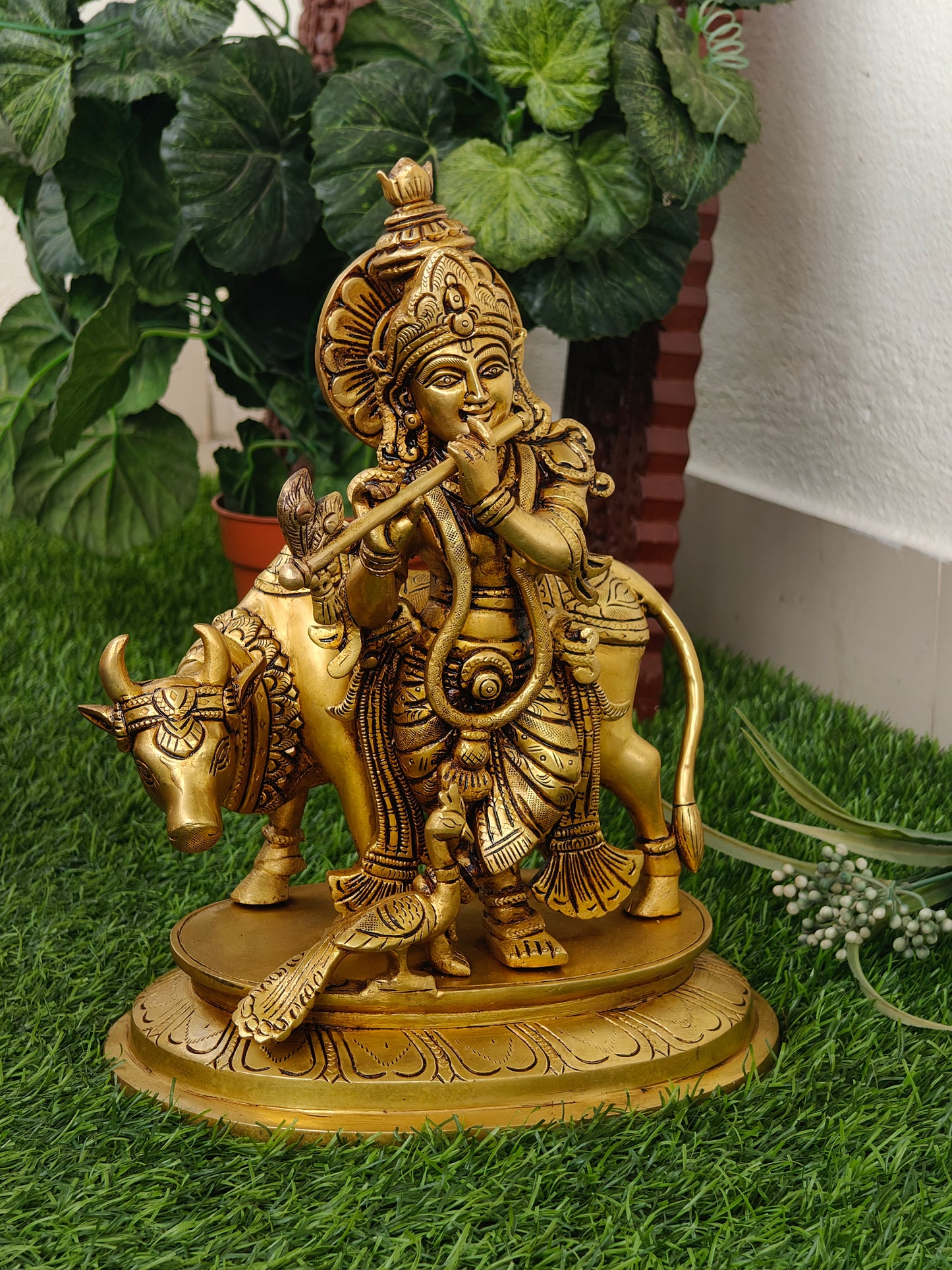 Cow krishna