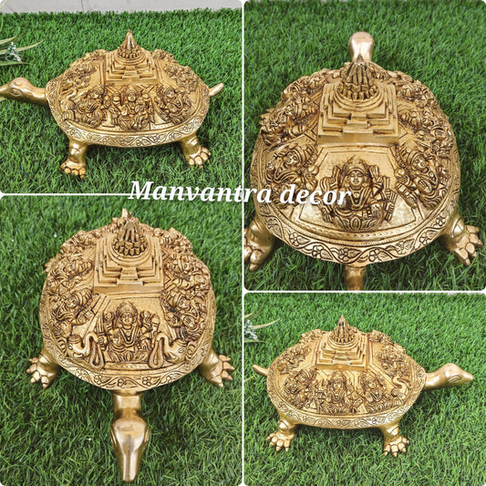 Ashtalakshmi Tortoise